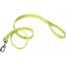 Coastal Pet Single-Ply Nylon Dog Leash Lime - 4 feet x 3/8"W