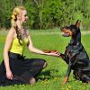 Dog Bark Collar IP67 Waterproof Rechargeable Training Receiver