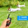 Dog Training Collar Dog Shock Collar / Remote IP67 Waterproof