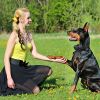 Dog Training Collar IPX7 Waterproof Pet Beep Vibration Electric