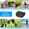 Dog Training Collar Dog Shock Collar / Remote IP67 Waterproof