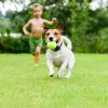 Wireless Electric Dog Fence Pet Shock Boundary Electric Training