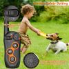 Electric Dog Training Collar Receiver Beep Vibration Shock