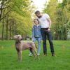 IPX7 Waterproof Electric Training Collar Rechargeable Receiver
