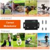 3280FT Dog Training Collar IP67 Waterproof Pet Beep Vibration