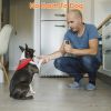 Ultrasonic Dog Anti-Bark Device Rechargeable Train Tool Whistle