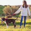 Ultrasonic Dog Anti-Bark Device Rechargeable Train Tool Whistle