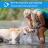 Dog Training Collar Dog Shock Collar / Remote IP67 Waterproof