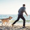 Wireless GPS Fence Rechargeable Waterproof Electric Collar
