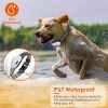 Electric Training Collar Waterproof Rechargeable Bark Collar