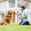 Ultrasonic Anti Barking Device Rechargeable Barking Deterrent