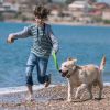 Electric Dog Training Collar Receiver Beep Vibration Shock