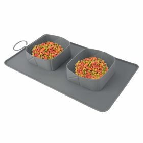 Pet Collapsible Dog Bowl, Foldable Silicone Feeding and Travel Bowl (Color: Gray)