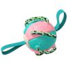 Dog Soccer Ball Interactive Pet Toys Ball Molar Toy Outdoor Training Ball