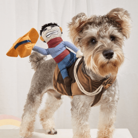 Cowboy Rider Pet Costume, Funny Dog Costume For Small Medium Dogs Pet Clothes (Color: Mixed Color)