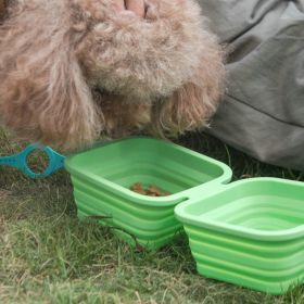 Collapsible Pet Bowl Double Portable Travel Bowl (Color: Green)