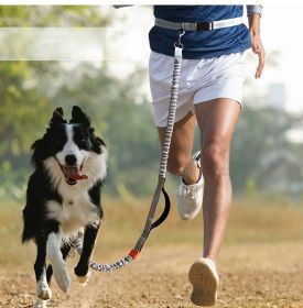 Hands Free Leash for Medium and Large Dogs - Dual Handle Waist Leash with Reflective Bungee (colour: green-4211)