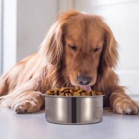 Stainless Steel Dog Bowl Pets Hanging Food Detachable Cage Bowl (size: L)