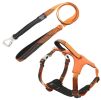 Reflective Padded Dog Leash and Harness
