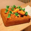 12 Plush Carrots Enrichment Dog Puzzle Toys Hide and Seek Carrot Farm Dog