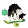 Dog Puzzle Toys Squeaky Game Training Foraging Toy for Small Medium Large Dogs