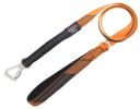 Reflective Padded Dog Leash and Harness