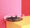 Pet Life 'Cirlicue' Shark Fin Shaped Slow Feeding Pet Bowl