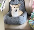 Pet Life 'Pawtrol' Converting Travel Safety Carseat and Pet Bed