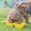 Collapsible Pet Bowl Double Portable Travel Bowl