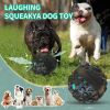 Paw Partner Dog Ball Toy Squeaky Giggle Ball For Aggressive Chewers Indestructible