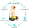 Dog Sprinkler Canine Water Easy Paw Activated 2 Aqua Outlet Modes Hose Dispenser