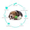 Toothbrush for Pet Dog Molar Stick Chew Tooth Cleaner Brushing Stick Natural Rubber