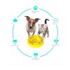 Dog Puzzle Toys Slow Feeder Interactive Puppy Food Slow Eating Bowl Training Game