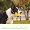 Pet Dog Toy Interactive Rubber Balls for Small Large Dogs Chewing Dog Food Ball