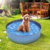 Pet Swimming Pool PVC Kiddie Baby Dog Swim Pool