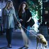 Retractable Extendable Dog Walking Leash with Flashlight Light, Waste Bag Dispenser