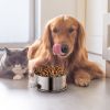 Stainless Steel Dog Bowl Pets Hanging Food Detachable Cage Bowl
