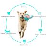Dog Soccer Ball Interactive Pet Toys Ball Molar Toy Outdoor Training Ball