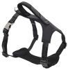 Reflective Padded Dog Leash and Harness