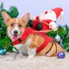 Costume Red for Dog Riding Santa Claus with Bell Clothes New Year Outfit Dress Up