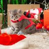 Costume Red for Dog Riding Santa Claus with Bell Clothes New Year Outfit Dress Up